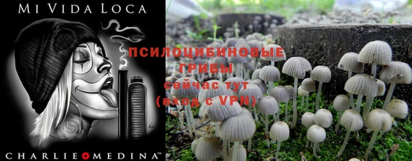 синтетический гашиш Михайлов