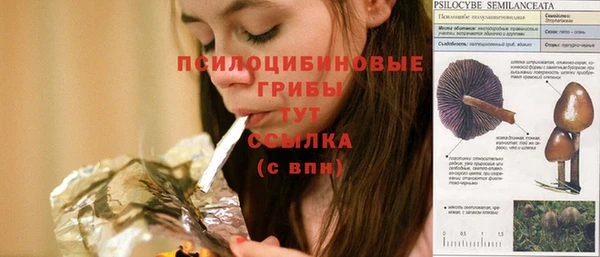спиды Медногорск