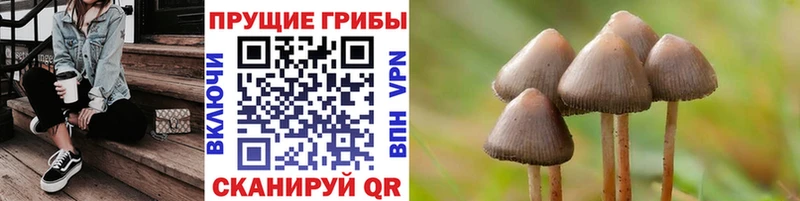 Псилоцибиновые грибы Magic Shrooms  Новоаннинский 